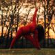 Dianne Bondy in triangle pose with the sunset behind her.