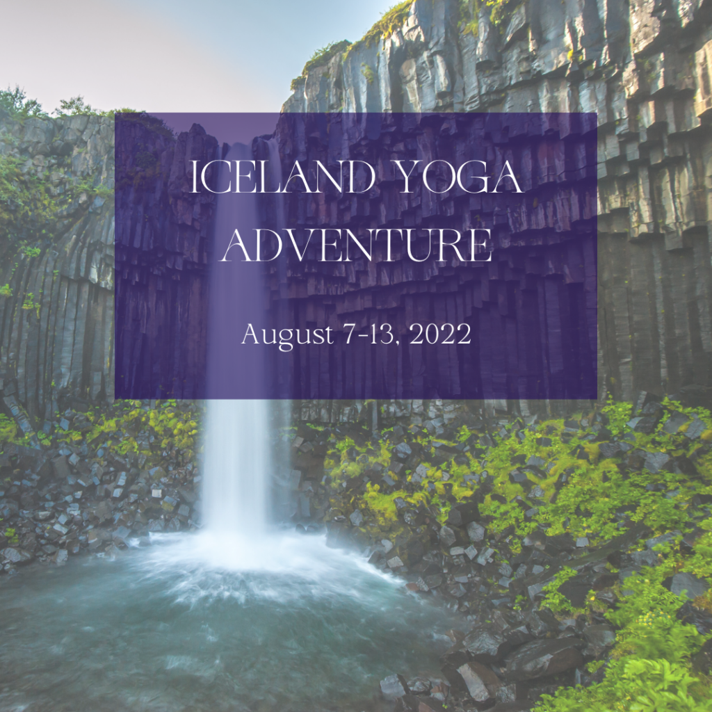 Yoga Adventure Dianne Bondy Iceland