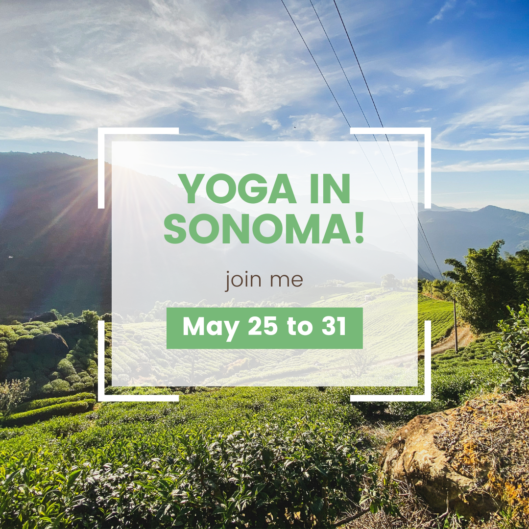 Sonoma-Yoga-DBY